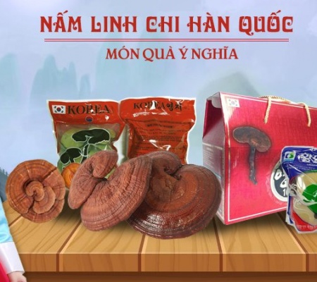 5 Giai Đoạn Tiếp Cận và Chữa Bệnh của Nấm Linh Chi Hàn Quốc