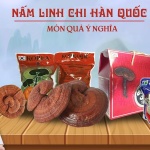 5 Giai Đoạn Tiếp Cận và Chữa Bệnh của Nấm Linh Chi Hàn Quốc