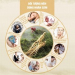 NHÂN SÂM 6 NĂM TUỔI